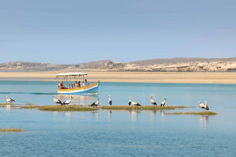 El Alma De Marruecos