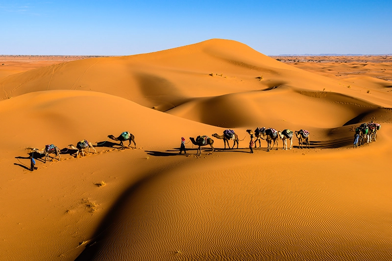 El Alma De Marruecos