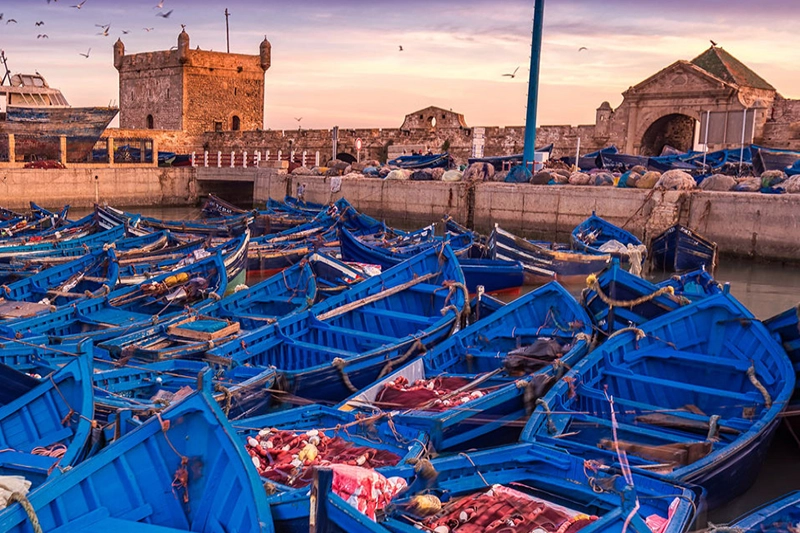 El Alma De Marruecos