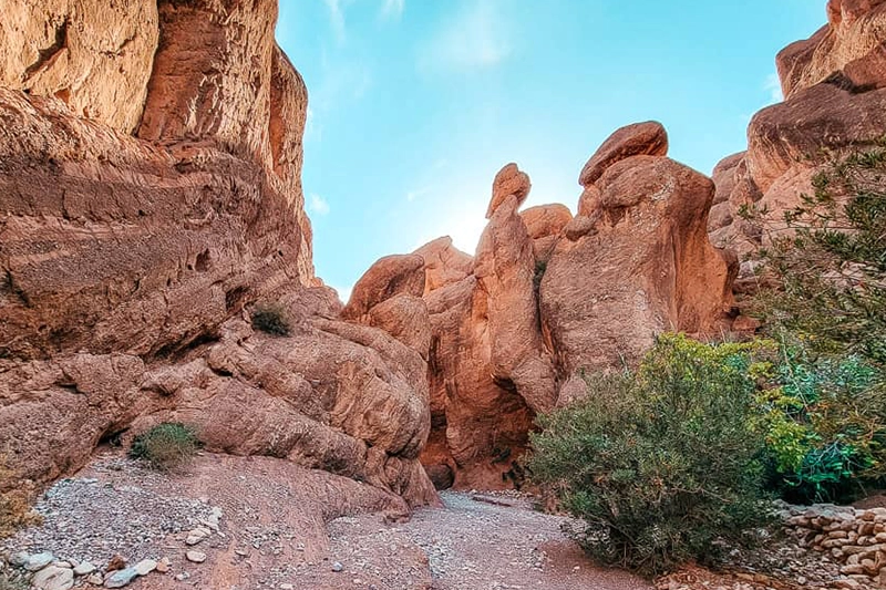 El Alma De Marruecos