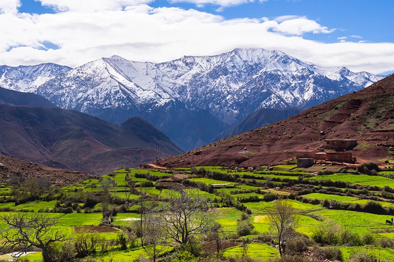 El Alma De Marruecos